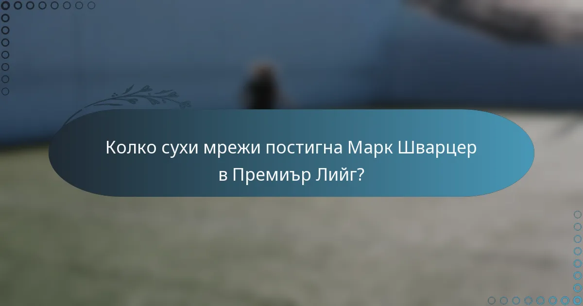 Колко сухи мрежи постигна Марк Шварцер в Премиър Лийг?